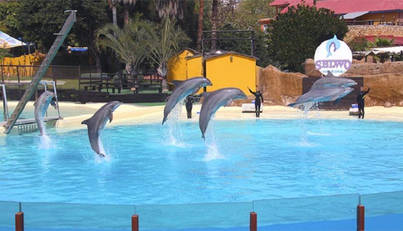 Paseo Maritimo Los Boliches. Fuengirola Kültér fotó